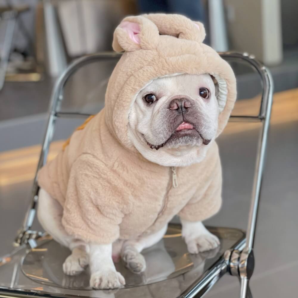 Bunny Ears Soft Plush Dog Hoodies