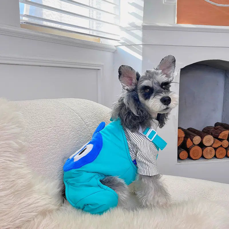 Dog Snow Pants - Aqua Green