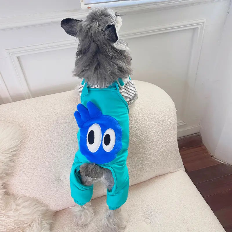 Dog Snow Pants - Aqua Green