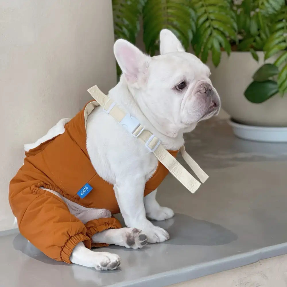 Dog Suspender Pants