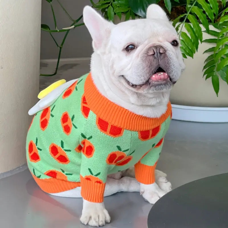 Dog Sweater Eggs Tomatoes