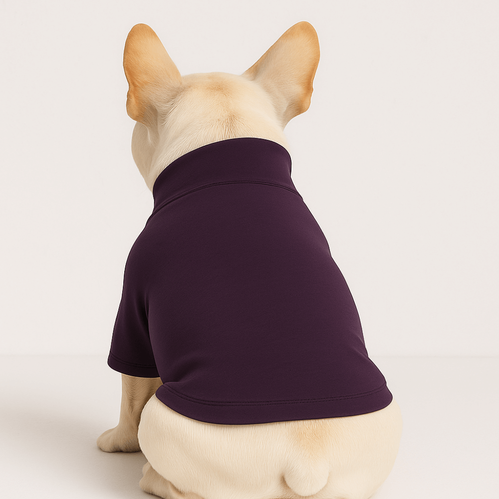 Pre-order Essentials Dog Sweatshirt