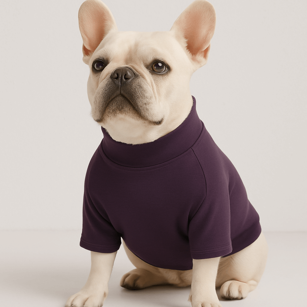 Pre-order Essentials Dog Sweatshirt