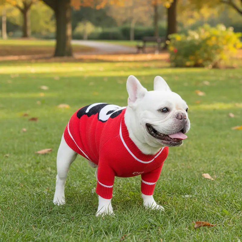 Red Dog Sweater - Panda