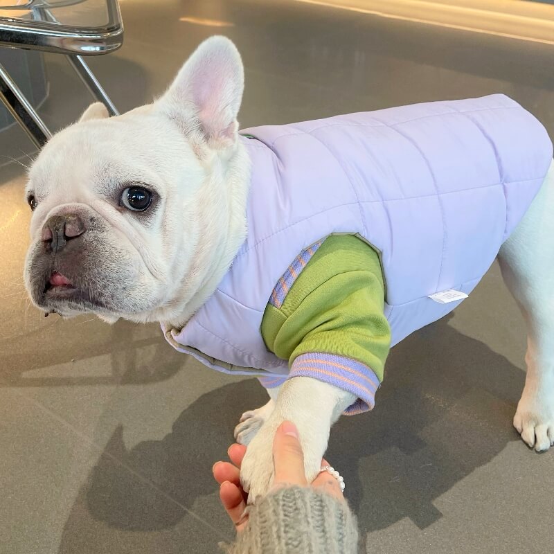 Reversible Dog Puffer Vest - Dog Face