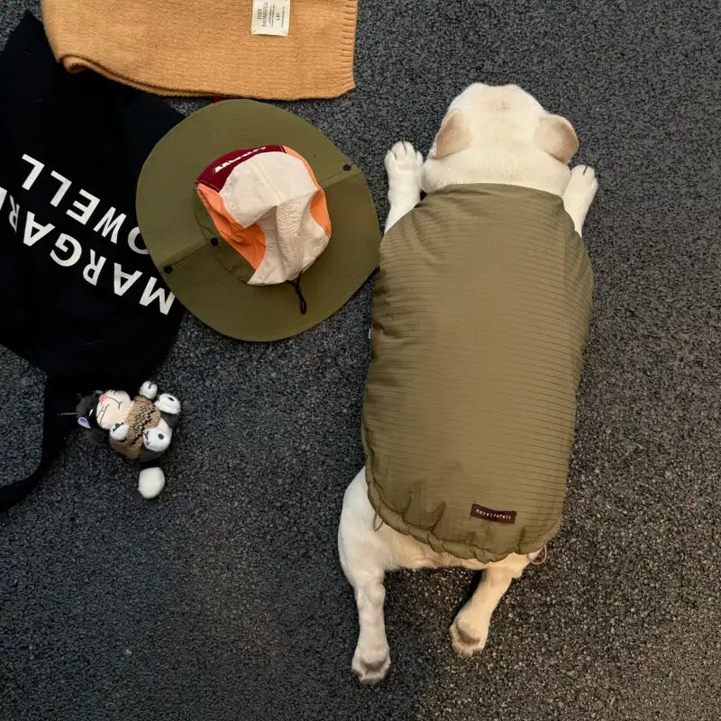 Premium Reversible Dog Winter Vest - Mustard Gold & Sage Green