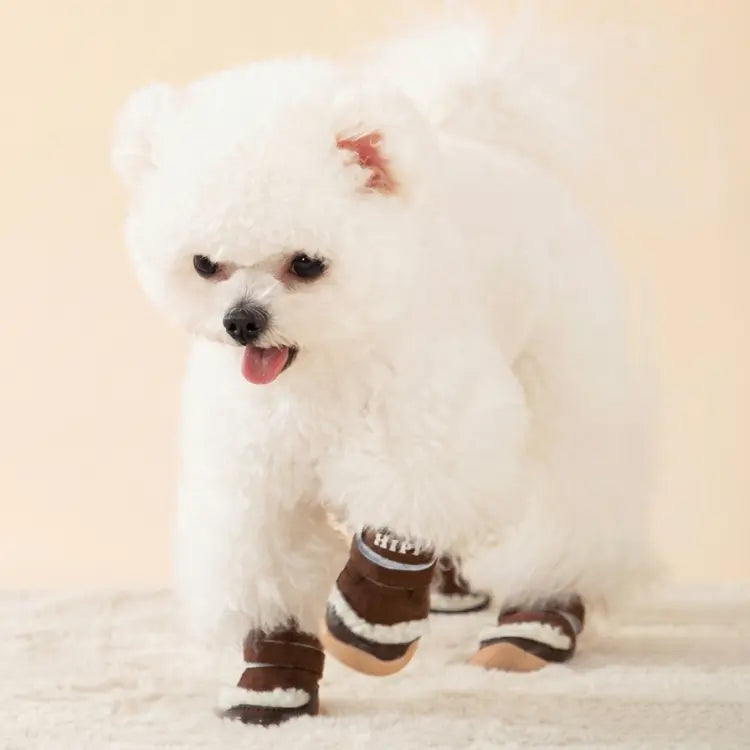 Small Dog Booties for Winter