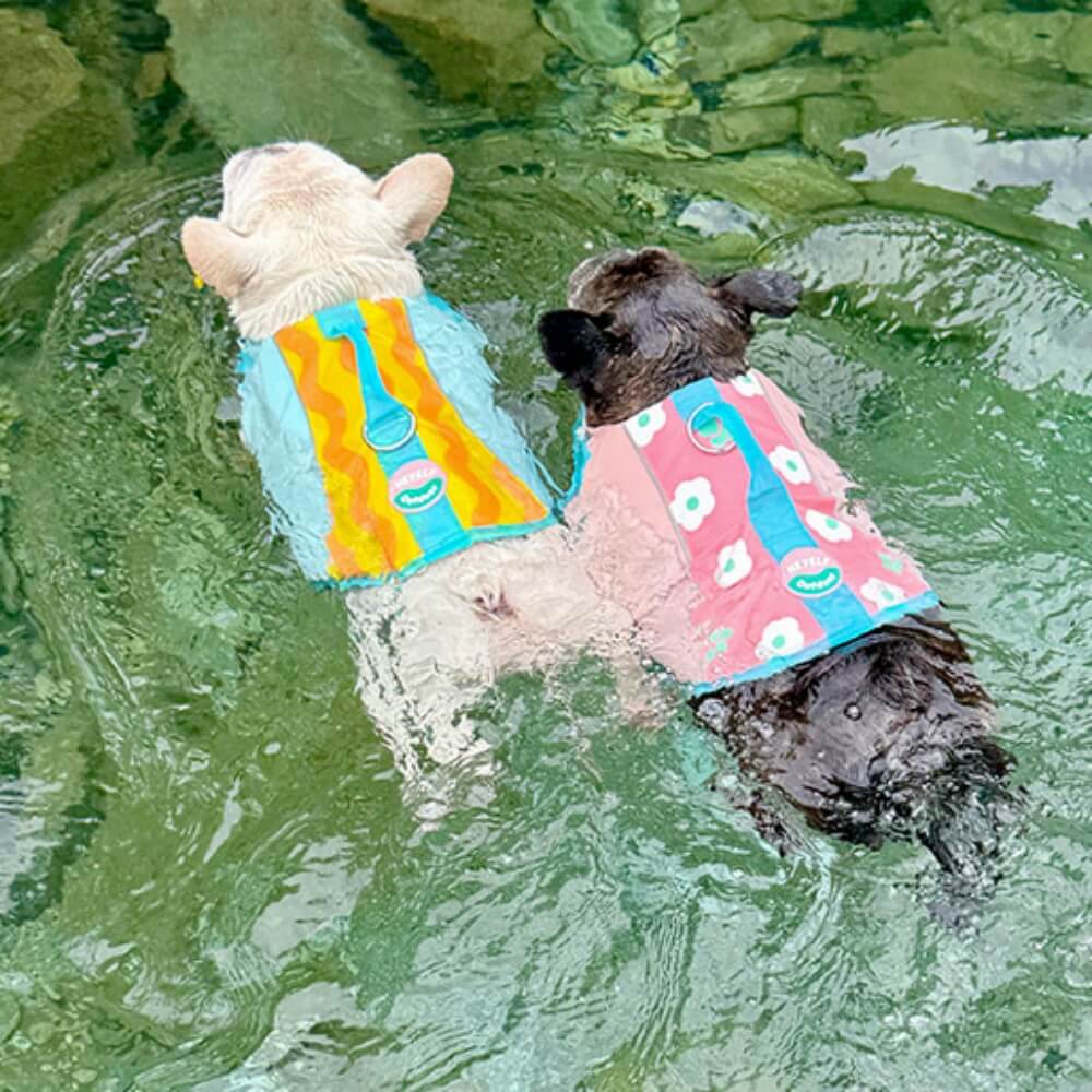 Dog Life Jackets
