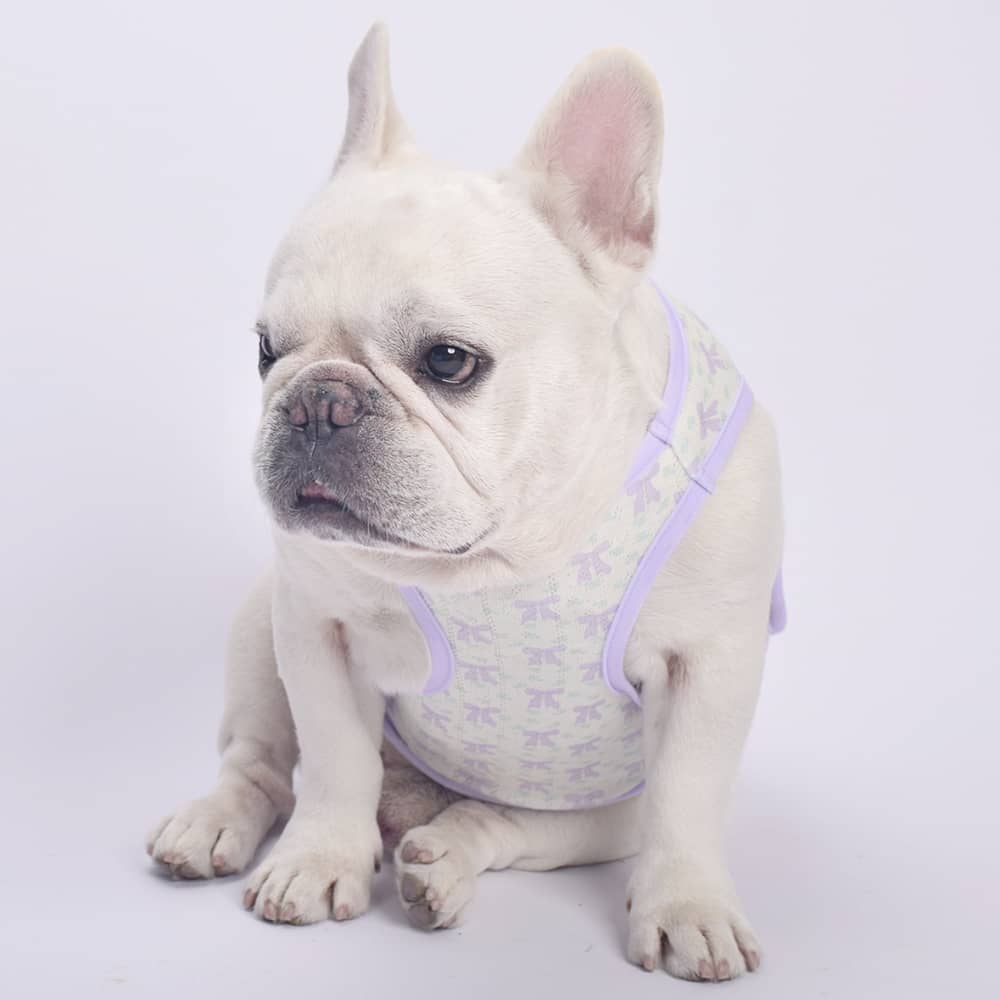 Lavender Summer Mesh Dog Shirt