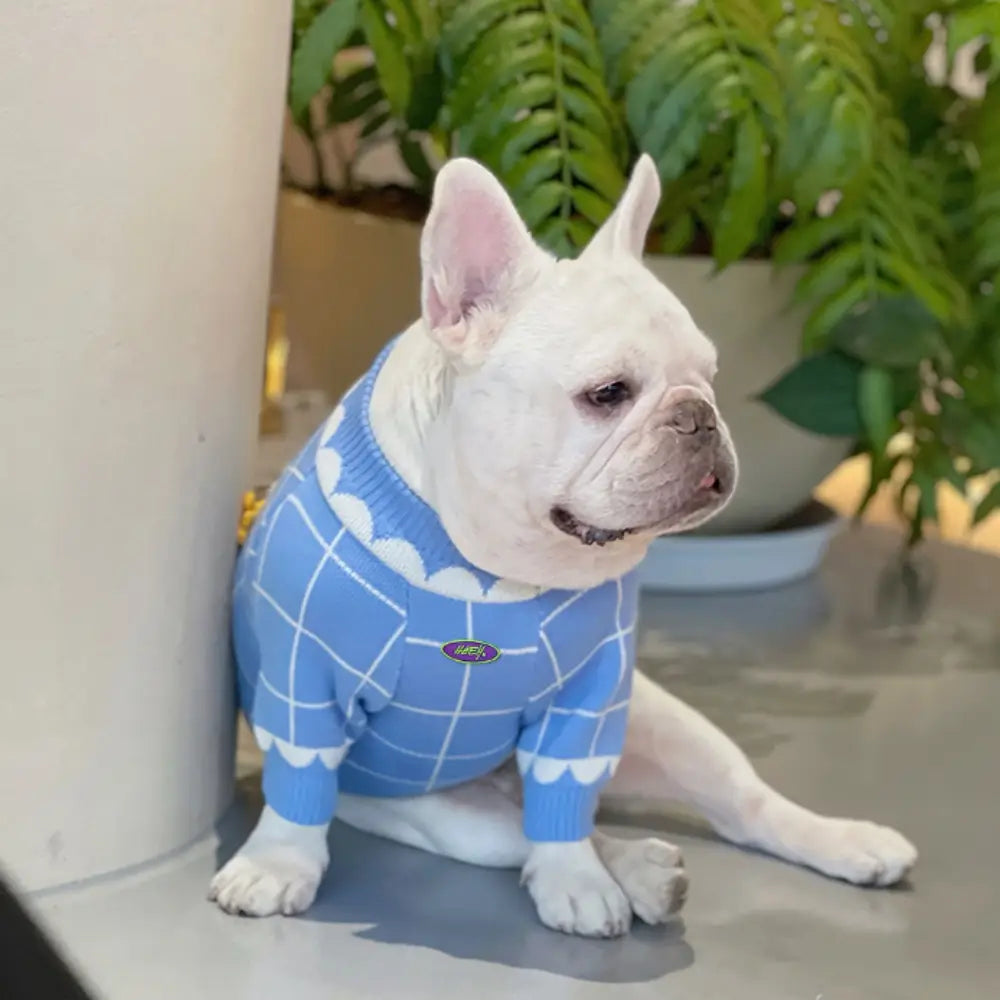 Cloud Dog Sweater
