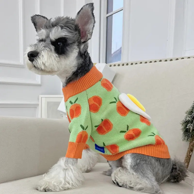Dog Sweater Eggs Tomatoes