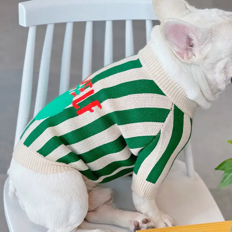 Apple Dog Sweater