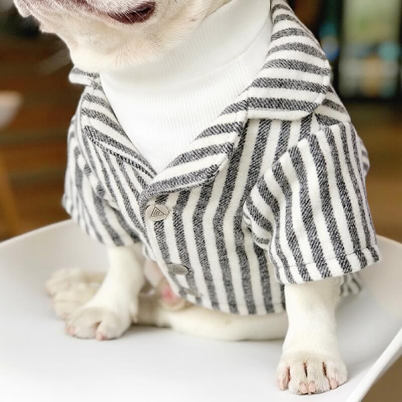 Wedding Dog Suit Set