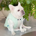 Mint Daisy Dog Puffer Vest
