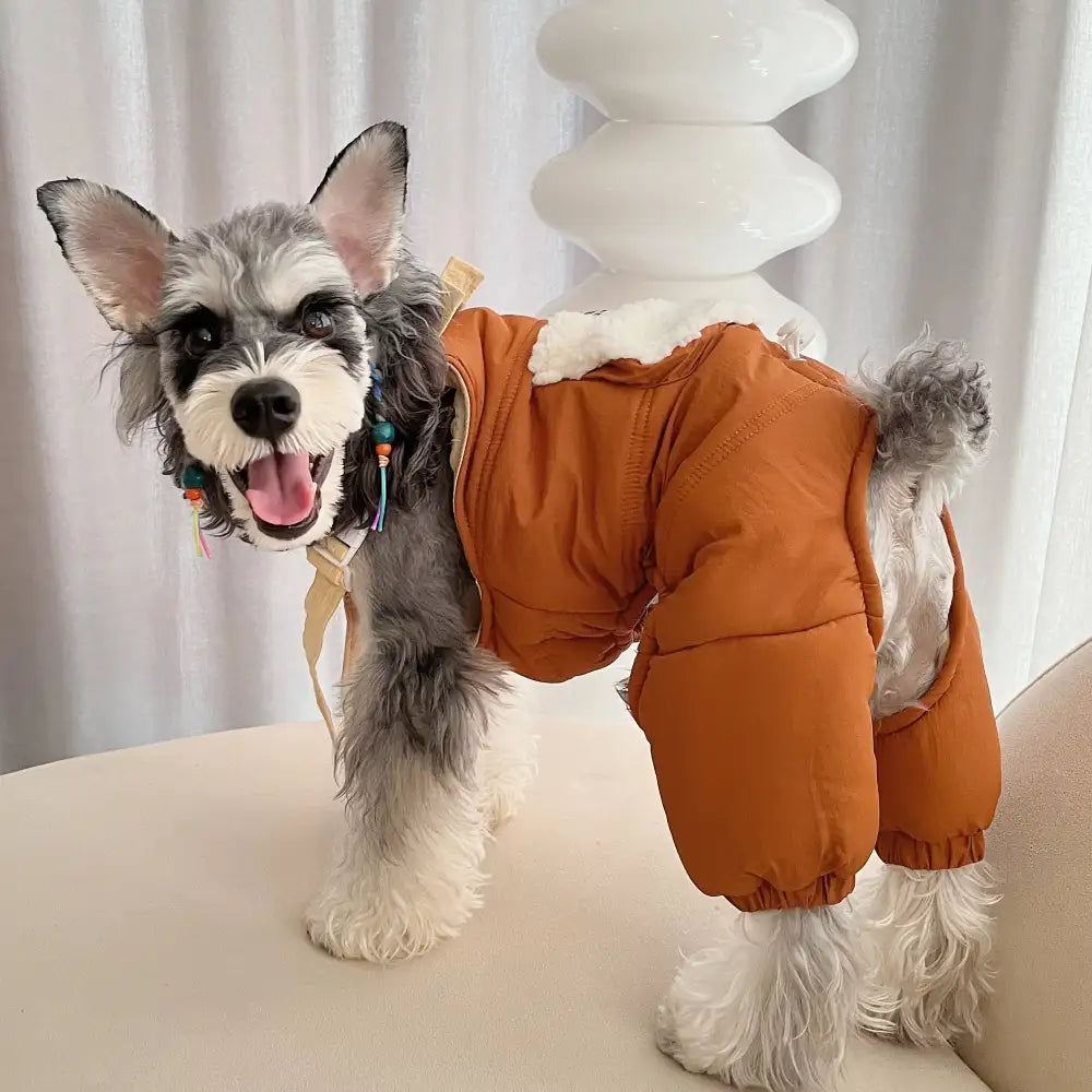 Dog Suspender Pants