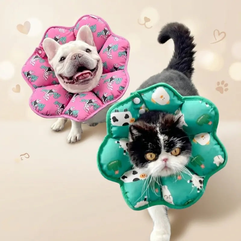 Soft Dog Cone