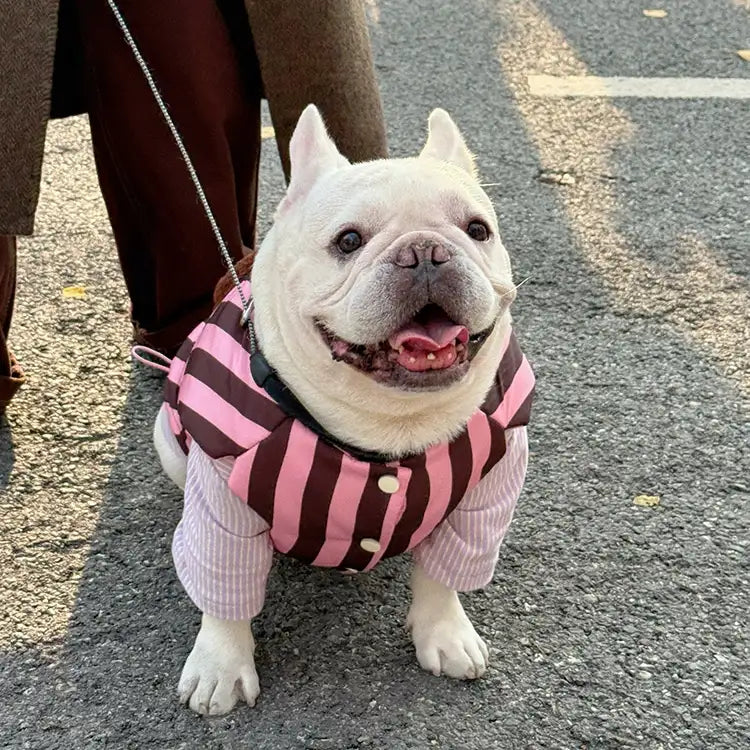 Strawberry Chocolate Stripe Dog Puffer