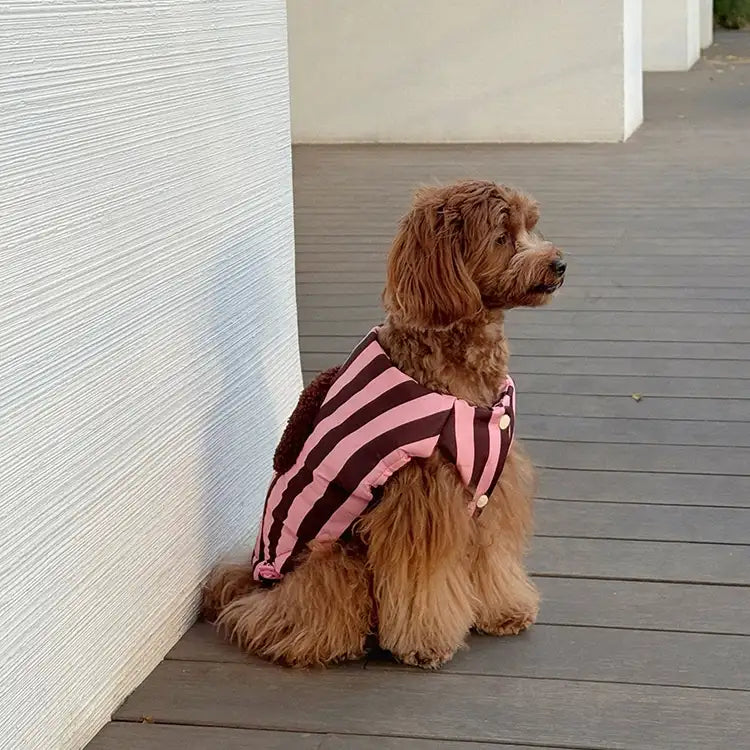 Strawberry Chocolate Stripe Dog Puffer