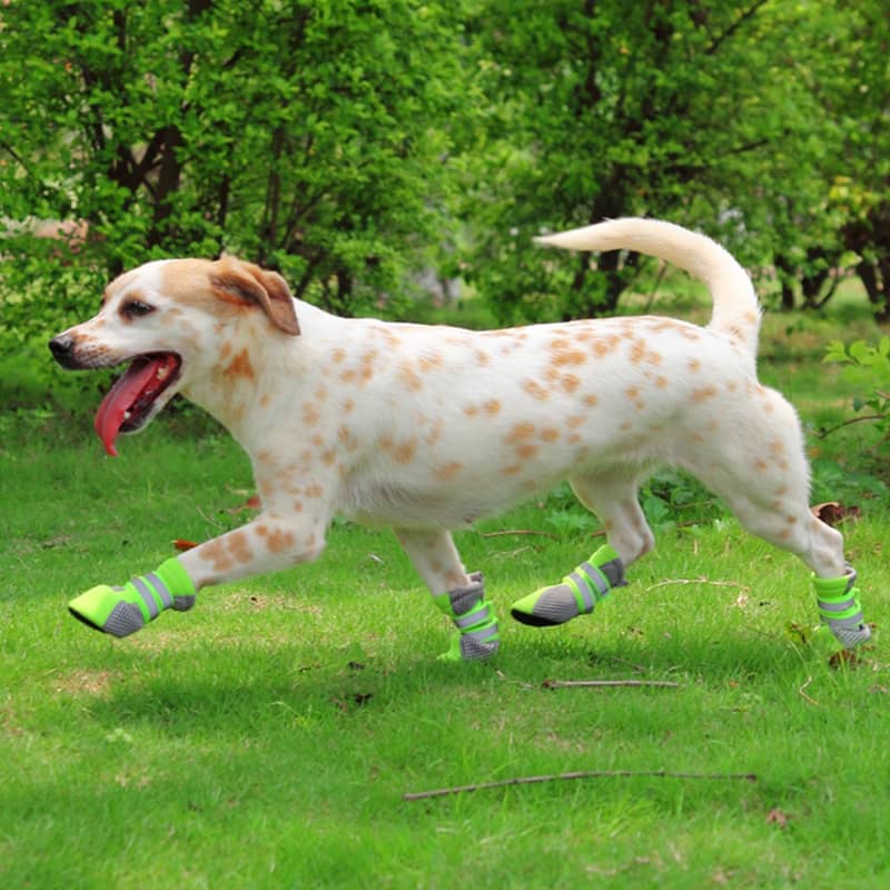Breathable Dog Shoes for Summer