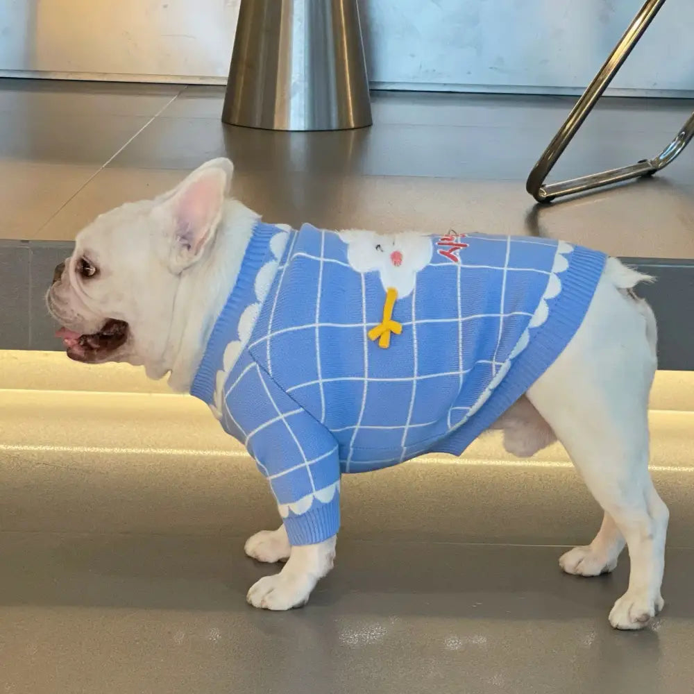 Cloud Dog Sweater