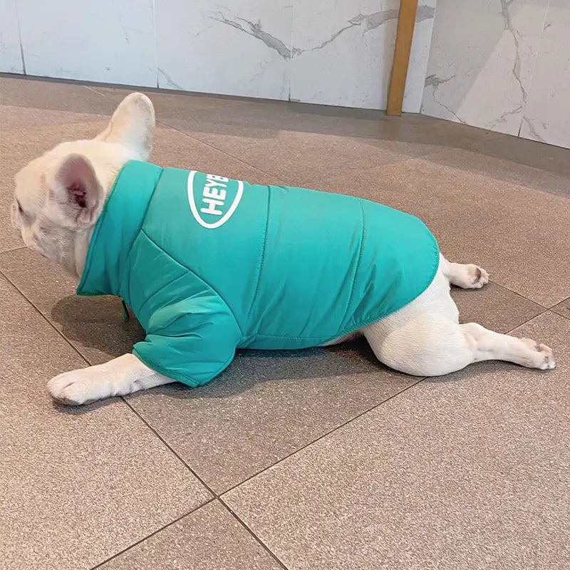 Aqua Zip-Up Dog Puffer Jacket